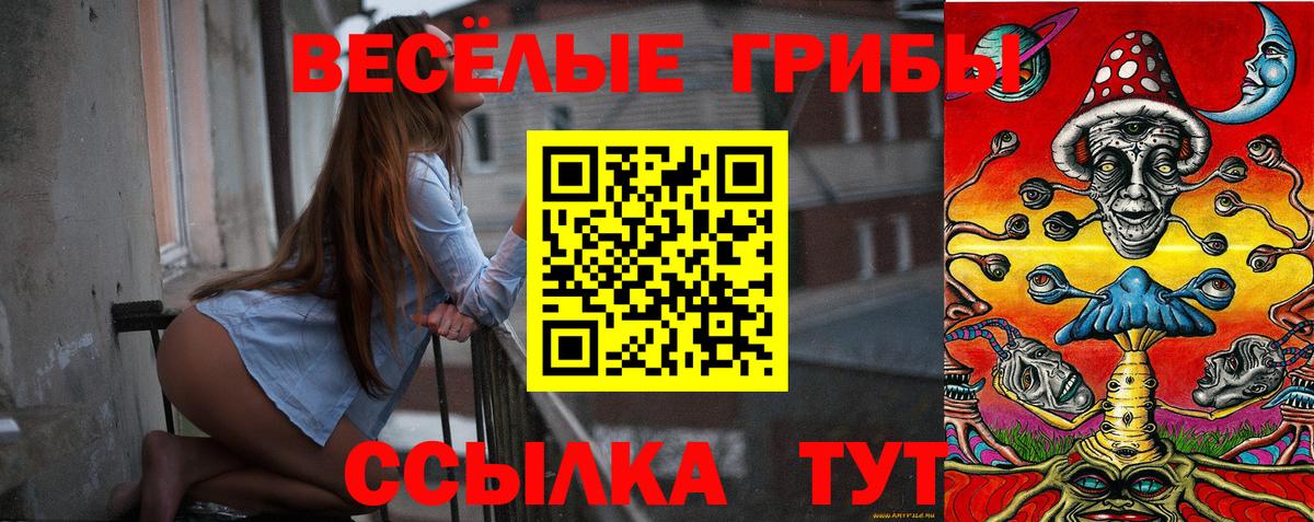 Галлюциногенные грибы Magic Shrooms Петровск